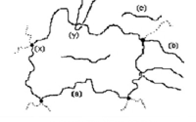 低場核磁技術研究高分子弛豫特性